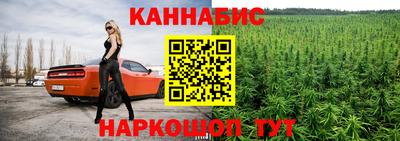 гашик Ливны