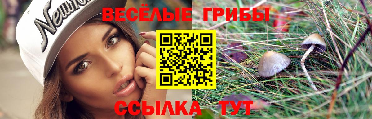 Псилоцибиновые грибы мицелий  Вход с VPN  Воронеж 